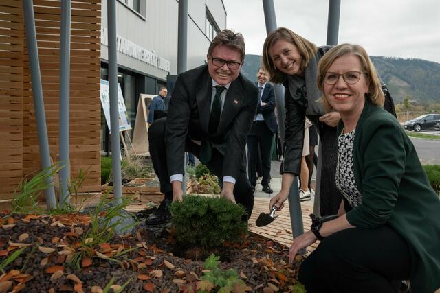 Bundesminister Martin Polaschek, Landesrätin Barbara Eibinger-Miedl und Bundesministerin Leonore Gewessler (v.l.) nach der feierlichen Eröffnung einen Baum.  | Foto: MUL/Tauderer