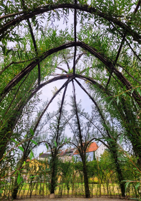 Ausblick aus dem Weidendom im Orangeriepark. | Foto: Landesgartenschau Schärding GmbH