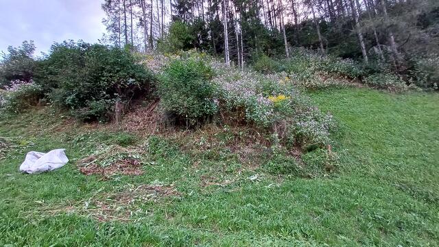 Das Ergebnis stundenlanger Arbeit - angesichts riesiger Bestände ist eine Bekämpfung nahezu aussichtslos. | Foto: Tiroler Bergwacht - Einsatzstelle Stubai