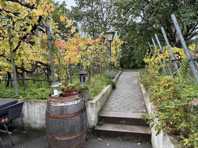 Foto: Katharina Nieschalk/MeinBezirk