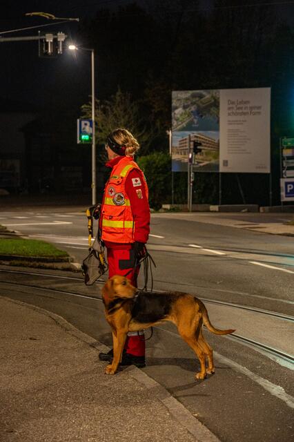Auch Polizeidiensthunde wurden bei der Suche in Gmunden eingesetzt. | Foto: TEAM FOTOKERSCHI.AT / DAVID RAUSCHER