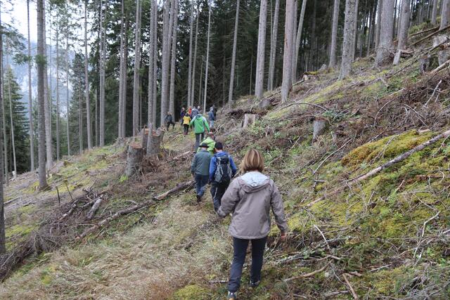 Knapp drei Stunden dauerte die Begehung.  | Foto: Elisabeth Zangerl