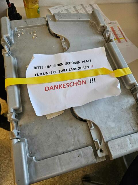 Dieser Zettel klebte auf dem Karton | Foto: TSV St. Pölten