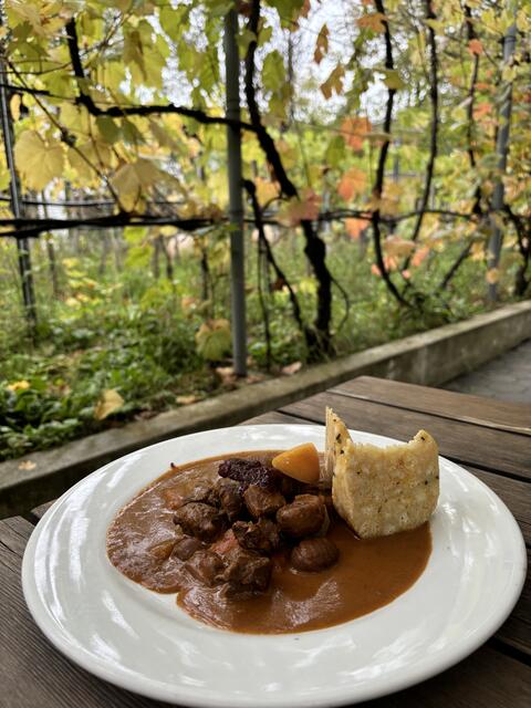 Foto: Katharina Nieschalk/MeinBezirk