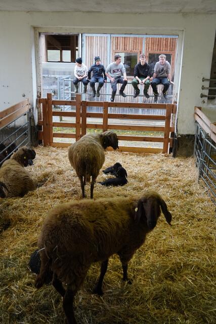 Foto: Magdalena Gautsch/LFS Tamsweg