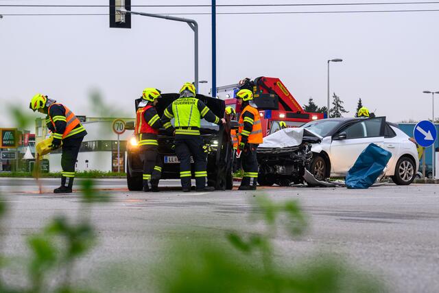 Foto: TEAM FOTOKERSCHI.AT / WERNER KERSCHBAUMMAYR