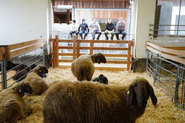 Foto: Magdalena Gautsch/LFS Tamsweg