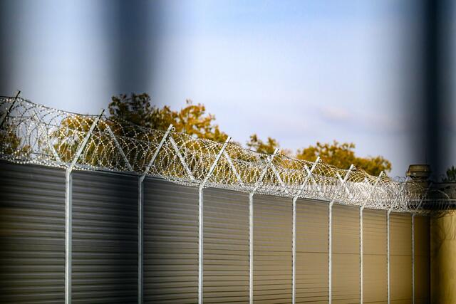 Foto: TEAM FOTOKERSCHI.AT / WERNER KERSCHBAUMMAYR