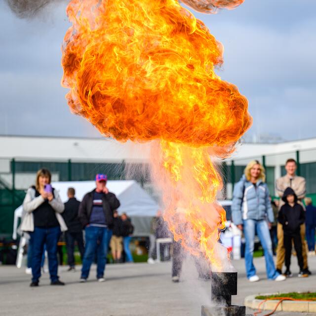 Foto: TEAM FOTOKERSCHI.AT / WERNER KERSCHBAUMMAYR