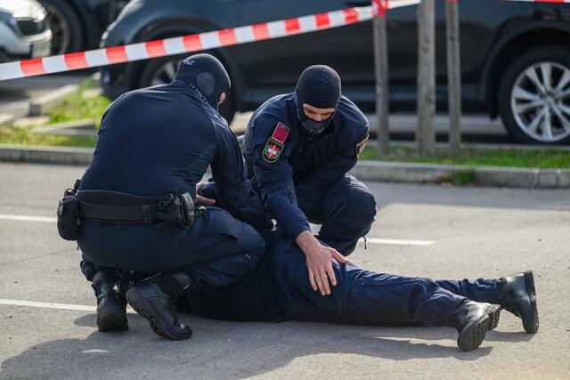 Foto: TEAM FOTOKERSCHI.AT / WERNER KERSCHBAUMMAYR