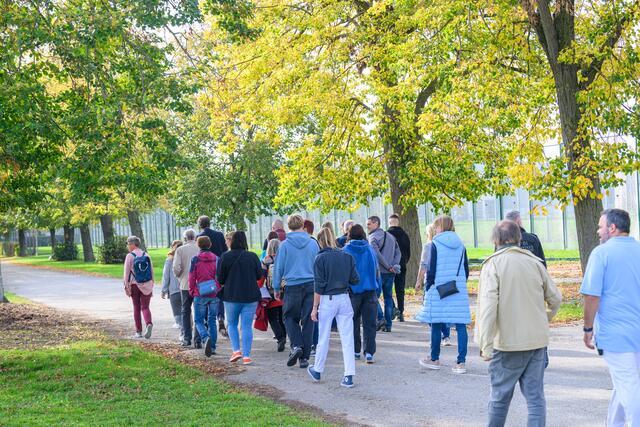 Foto: TEAM FOTOKERSCHI.AT / WERNER KERSCHBAUMMAYR