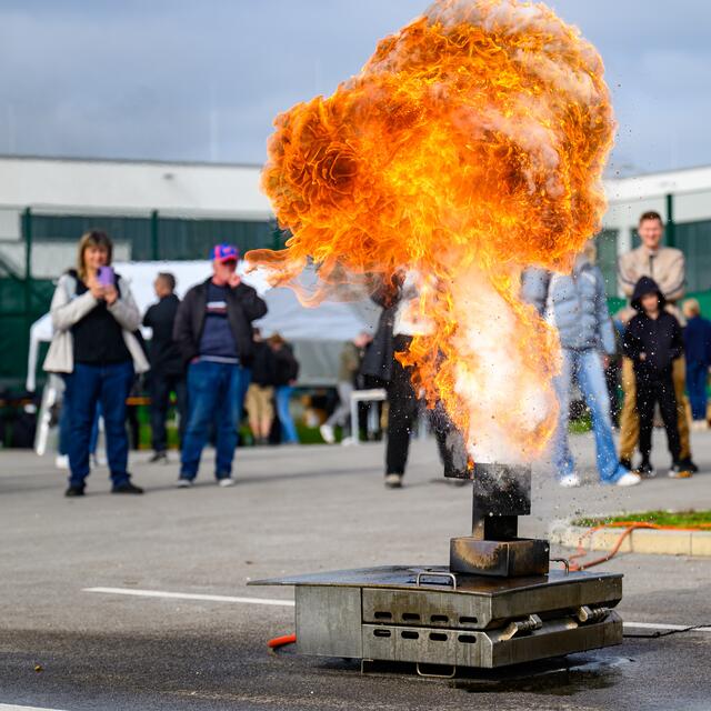 Foto: TEAM FOTOKERSCHI.AT / WERNER KERSCHBAUMMAYR