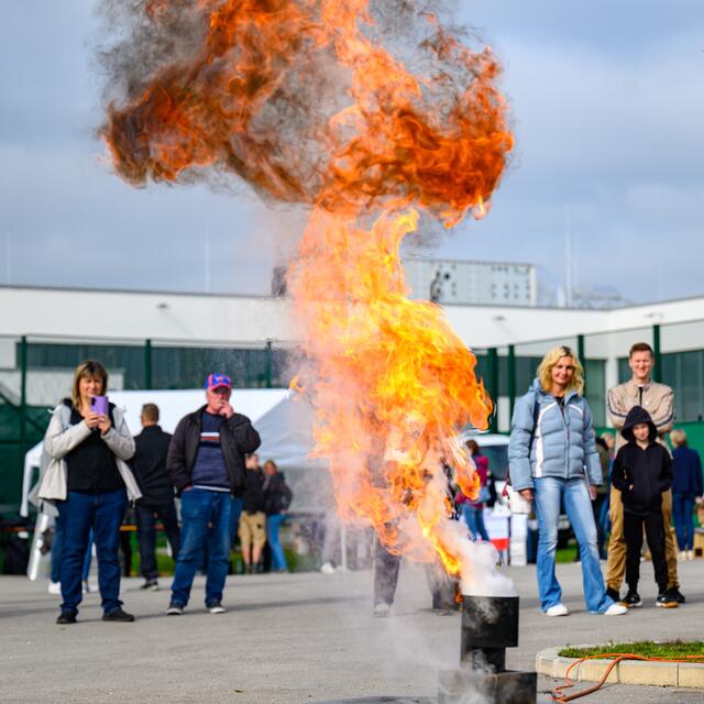 Foto: TEAM FOTOKERSCHI.AT / WERNER KERSCHBAUMMAYR
