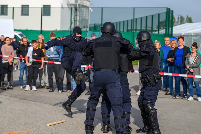 Foto: TEAM FOTOKERSCHI.AT / WERNER KERSCHBAUMMAYR