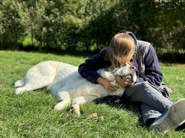 Zwei Herzen – eine Liebe. Der zentralasiatische Herdenschutzhund Simba aus dem Welser Tierheim und die Tierärztin Katharina aus Purkersdorf haben sich gefunden. | Foto: Migl