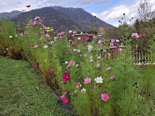 Foto: Reinhold Luschnitz