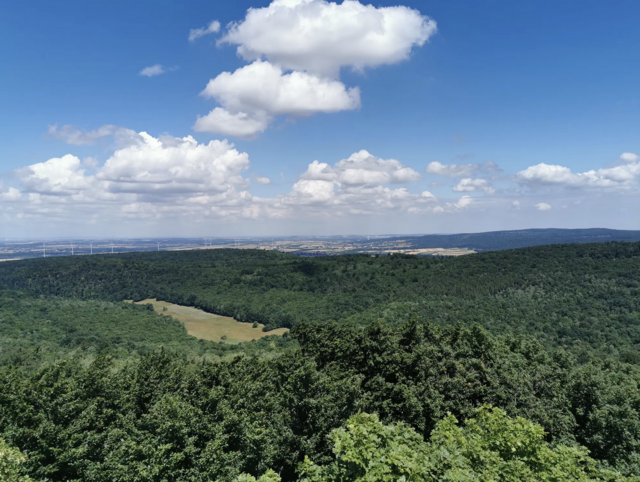 Die zweithöchste Erhebung des Leithagebirges ist der Buchkogel. | Foto: komoot.com