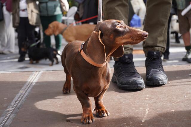 Foto: Alicia Martin Gomez