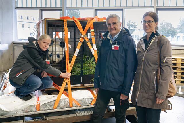 Rückkehr nach China: Vor fünf Wochen ging es für die beiden Tiergarten Schönbrunn-Publikumslieblinge Yang Yang und Yuan Yuan in den wohlverdienten Ruhestand. Bald bekommen sie Nachfolger in Schönbrunn. | Foto: Daniel Zupanc