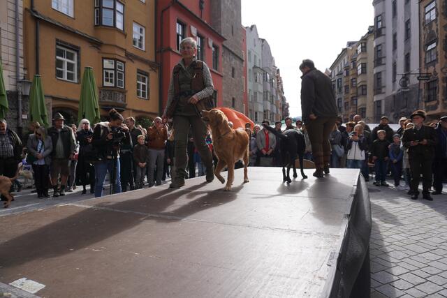 Foto: Alicia Martin Gomez