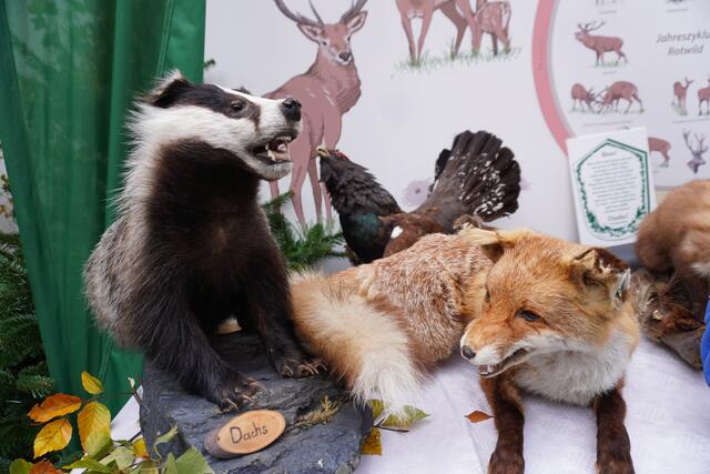 Foto: Alicia Martin Gomez