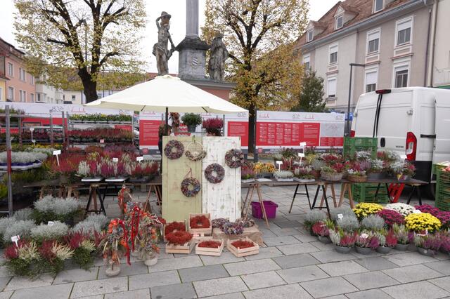 Foto: Michael Blinzer