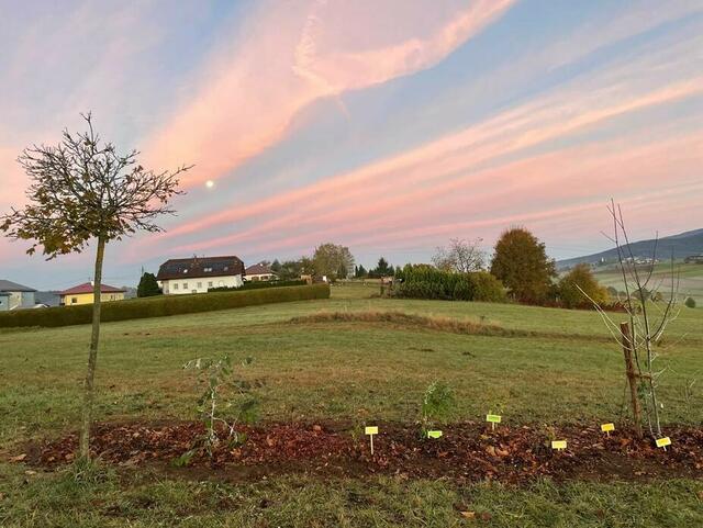 Foto: Vereins Generationengarten Ulrichsberg