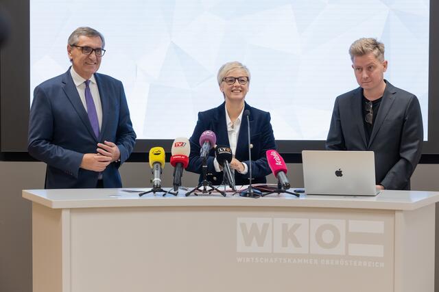 V. l.: Spartenobmann Erich Frommwald, WKOÖ-Präsidentin Doris Hummer und Martin Halla von der WU Wien. | Foto: cityfoto/Pelzl