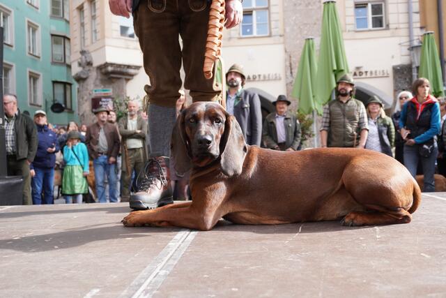 Foto: Alicia Martin Gomez