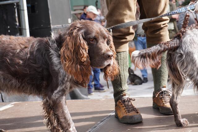 Foto: Alicia Martin Gomez