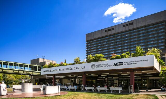 Die Medizinische Universität Wien bietet Interessierten 6 Studieneinrichtungen und 23 Universitätslehrgänge. (Archivfoto) | Foto: Med Uni