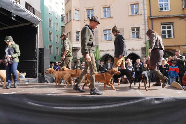 Foto: Alicia Martin Gomez