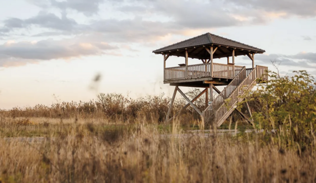 Mitten im heutigen Gemeindeschutzgebiet von Mörbisch befindet sich der Mörbischer Hochstand.  | Foto: TVB Nordburgenland Maria Hollunder