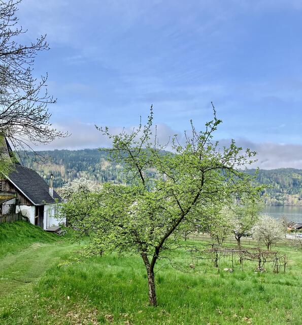 Der Klostergarten in Millstatt | Foto: Privat