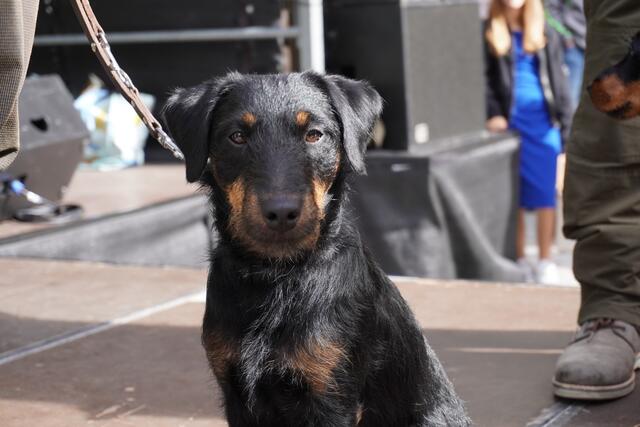 Foto: Alicia Martin Gomez