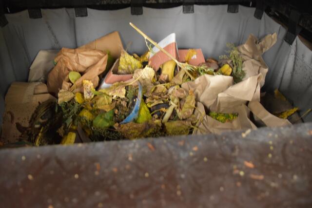 Das Innere des Wurmhotels am Paltrampark. | Foto: Karl Pufler/MeinBezirk