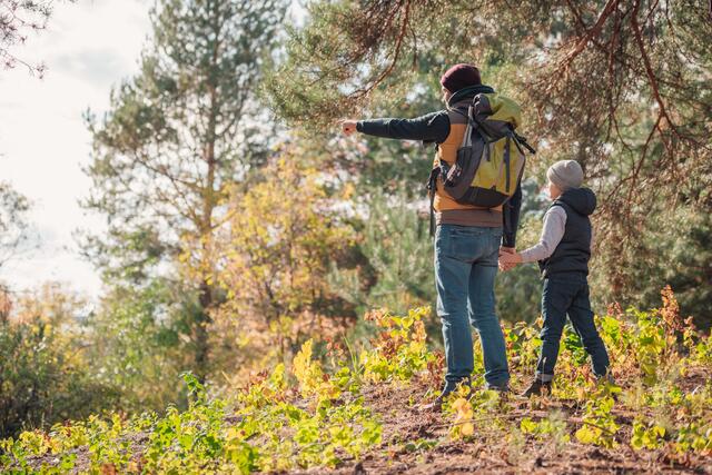 Am Montag ereignete sich am Goggsteig in Amlach ein Bergwanderunfall. Eine 20-jährige Wanderin stürzte während des Abstiegs vom Kreidefeuer. | Foto: Panthermedia/alebloshka (Symbolbild)
