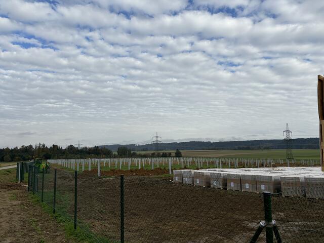 Die Anlage könnte die Gemeinde Pischelsdorf zweimal mit Strom versorgen. | Foto: MeinBezirk