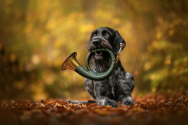 Foto: Angela Sulser Fotografie, Mollis/Schweiz