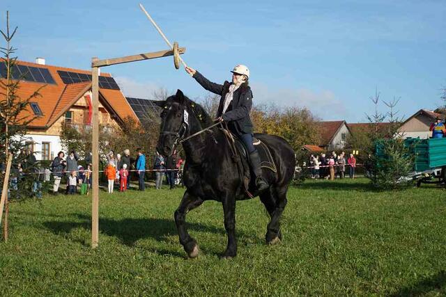 Foto: Stefan Reitböck