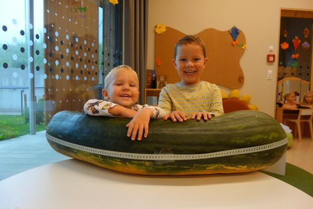 KG Schlaiten holt sich den landesweiten Sieg bei den Kindergartengruppen. | Foto: Verband der Tiroler Obst- und Gartenbauvereine 