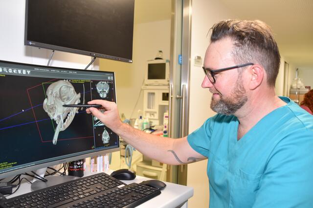 Alles, was Matthias Seewald zur absoluten Perfektion noch fehlt, ist mehr Fläche für eine Expansion. | Foto: Kainz