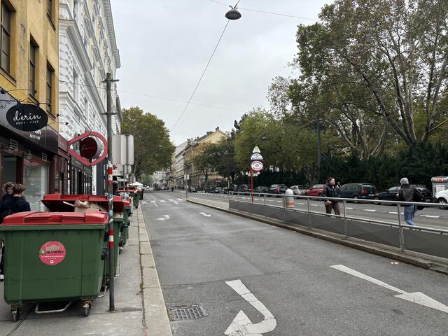 In der Währinger Straße soll es begrünte Schienen und weniger Verkehr geben. | Foto: Fabian Franz/MeinBezirk