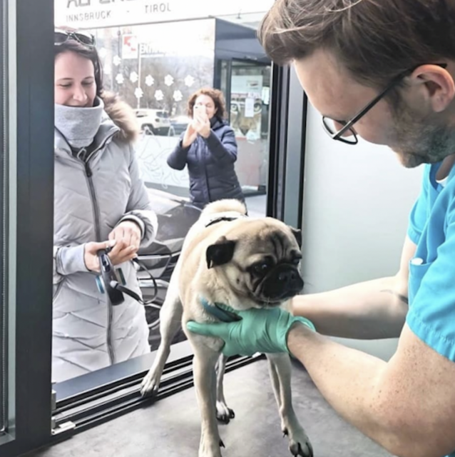 Früher betreute Tierarzt Matthias Seewald auch viele Großtiere, heute sind es mehr Haustiere. | Foto: privat
