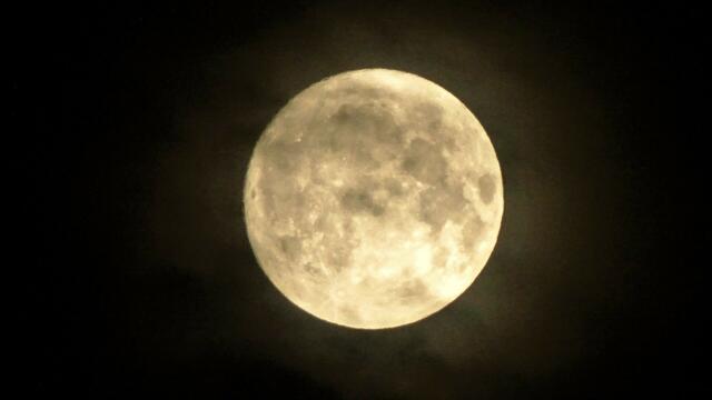... der Supermond vom 17. Oktober war sogar von einem intensiv leuchtenden Ring umgeben. ... | Foto: © Silvia Plischek