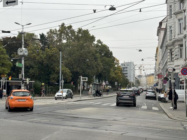 Entlang des Arne-Karlsson-Parks, in der Spitalgasse, soll der Park erweitert und der Verkehr komplett verband werden. | Foto: Fabian Franz/MeinBezirk