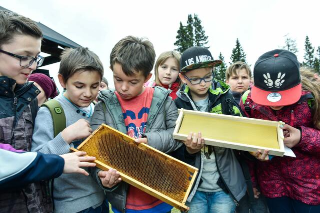 "Anfassen, Staunen, Nachfragen" lautet das Motto bei den Schülern | Foto: Naturerlebnistag/Kohlmaier ©