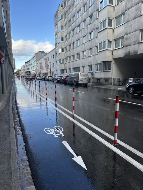 Begrenzungspfosten in der Roseggerstraße in der Kritik: Sie könnten zu einem Risiko für unachtsame Lenker von Lastenfahrrändern werden. | Foto: MeinBezirk