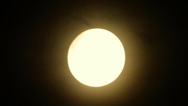 Die grelles Licht reflektierende Mondscheibe war sogar von einem intensiv leuchtenden Ring umgeben. | Foto: © Silvia Plischek