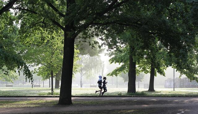 Der Charity-Lauf „MIT HERZ DABEI“ bietet die Möglichkeit, aktiv zu werden und die hochwasserbetroffenen Familien in Niederösterreich zu unterstützen. | Foto: pixabay.com